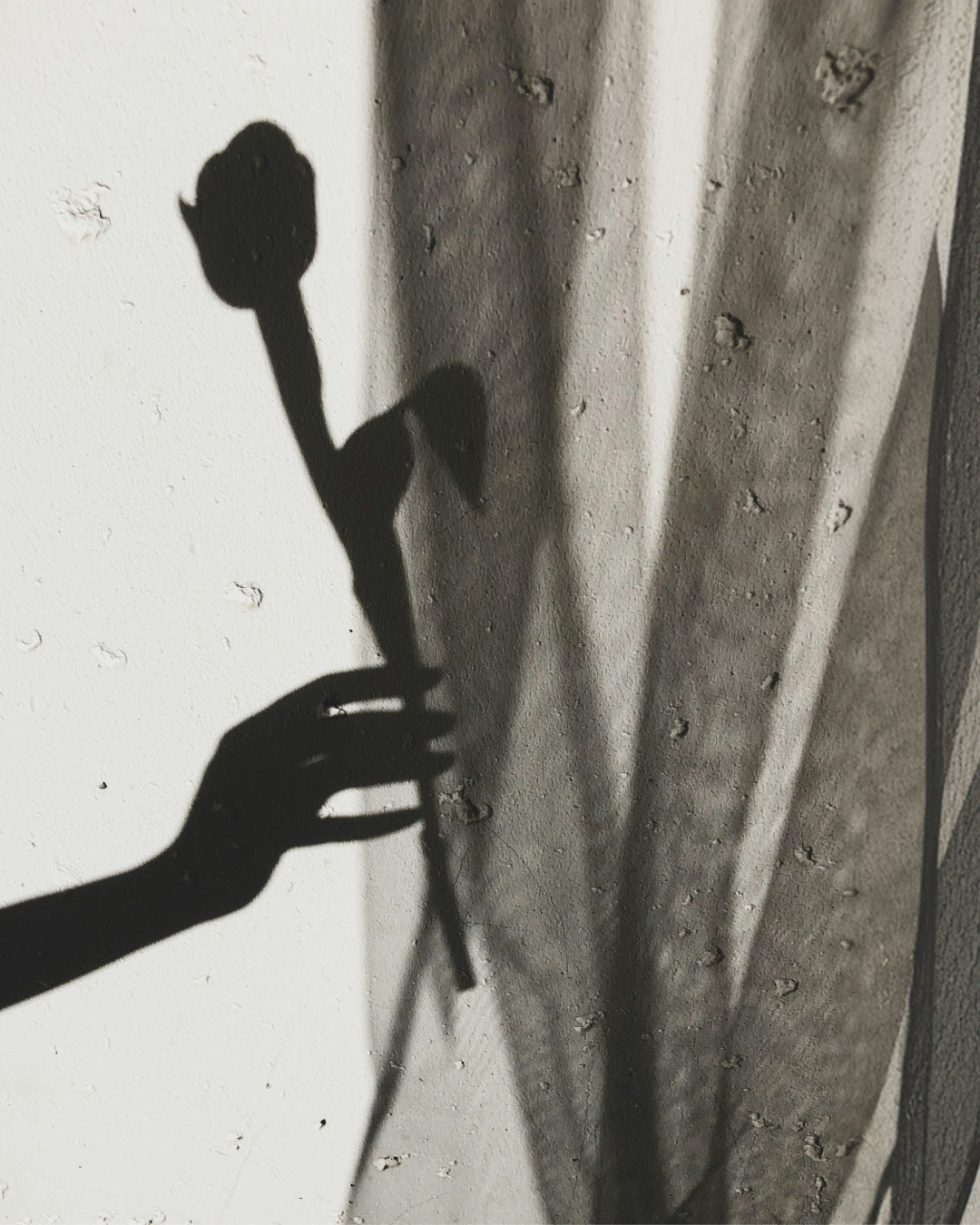 Fertility in the Perimenopause Window