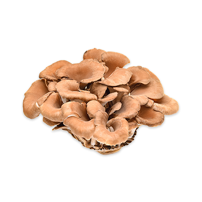 Maitake