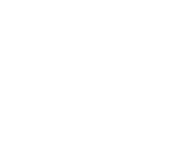 Hip & Healthy Wellness Awards